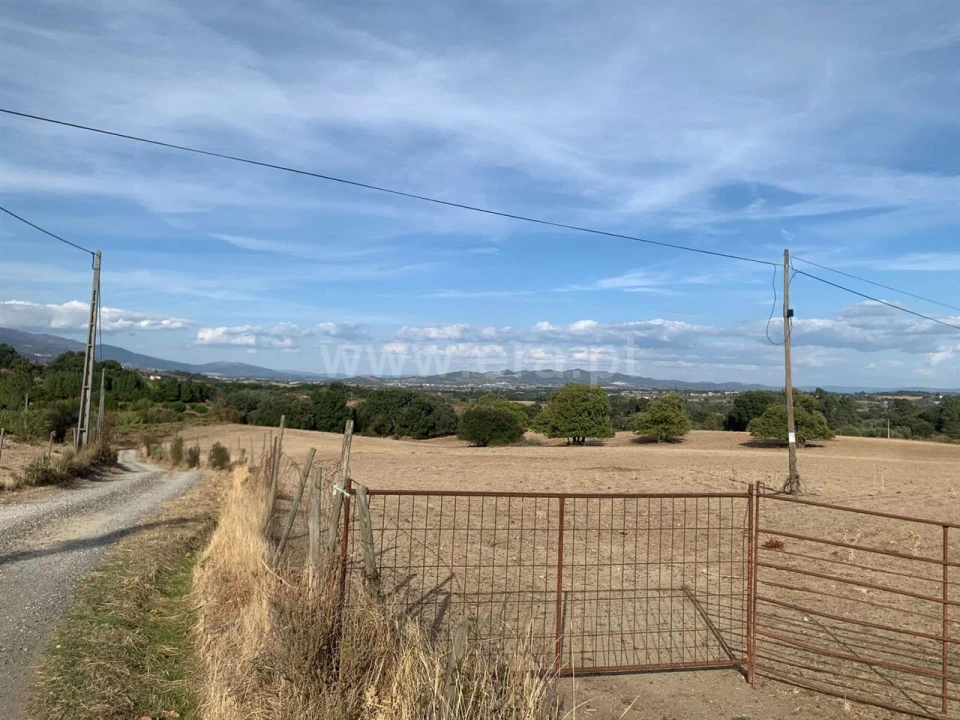 Terreno para Venda em Telhado Foto 3