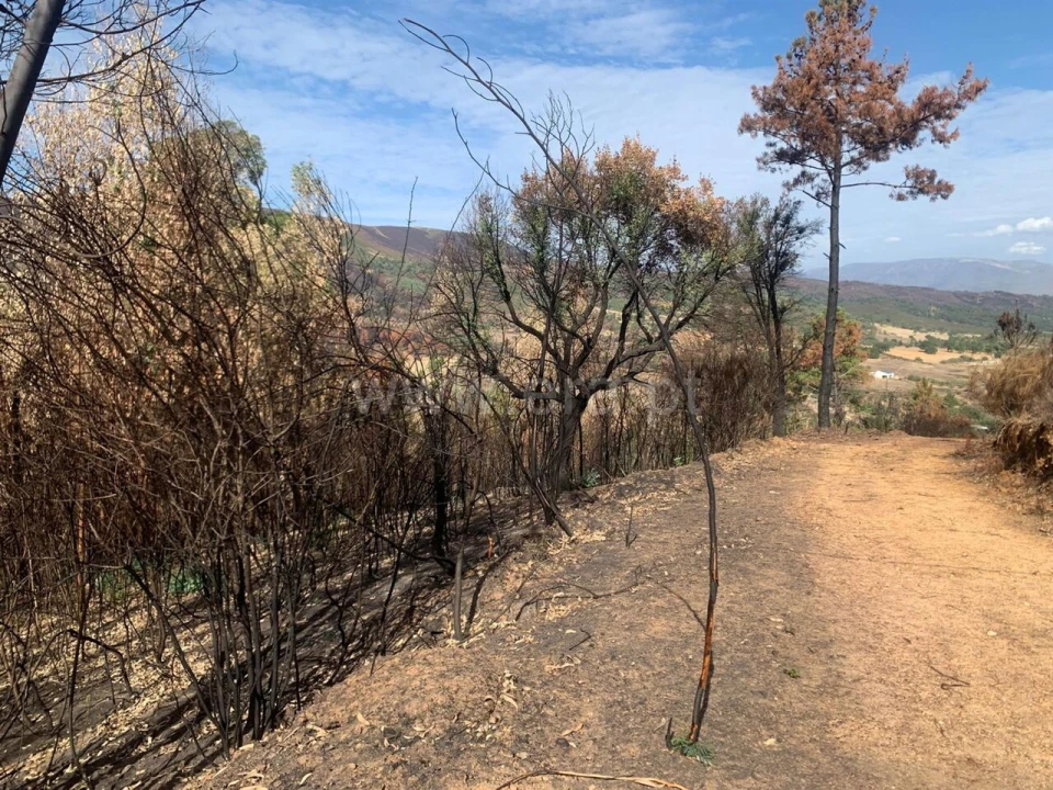 Terreno para Venda em Telhado Foto 4