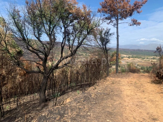 Terreno para Venda em Telhado Foto 2