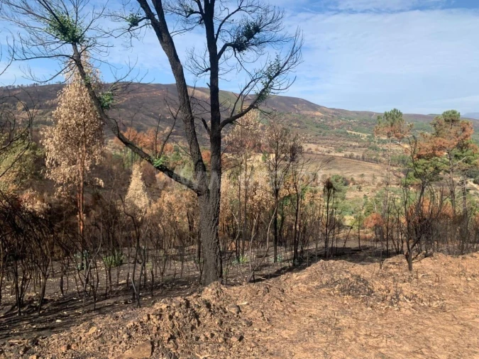 Terreno para Venda em Telhado Foto 1