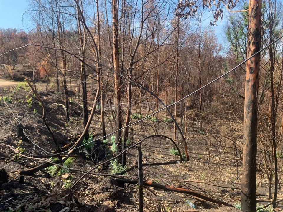 Terreno para Venda em Telhado Foto 5