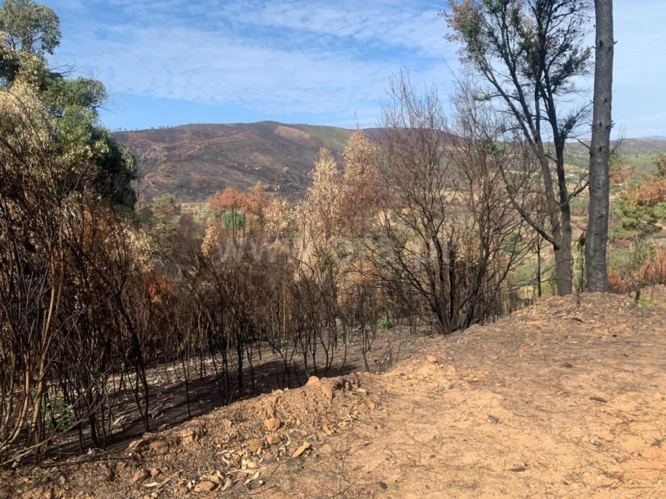 Terreno para Venda em Telhado Foto 3