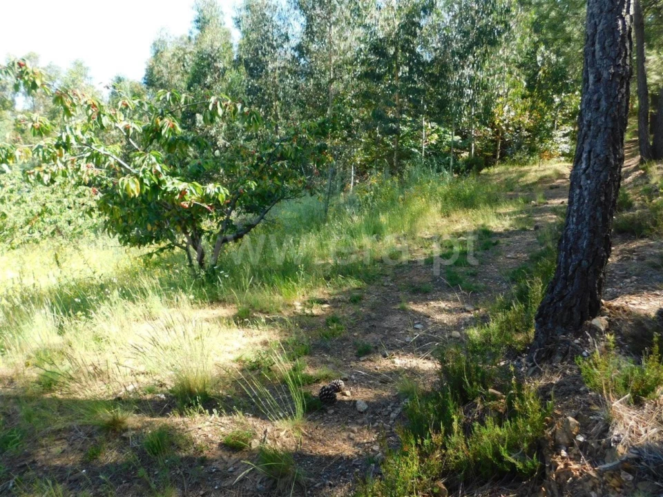 Quinta T0 para Venda em Souto da Casa Foto 8