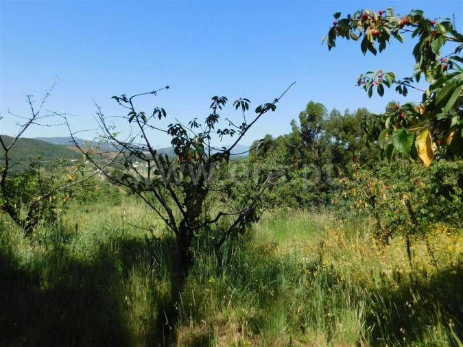 Quinta T0 para Venda em Souto da Casa Foto 2