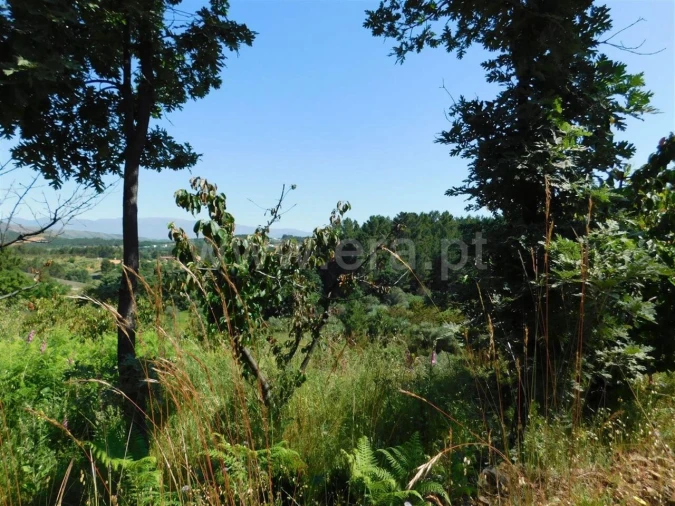 Quinta T0 para Venda em Souto da Casa Foto 6