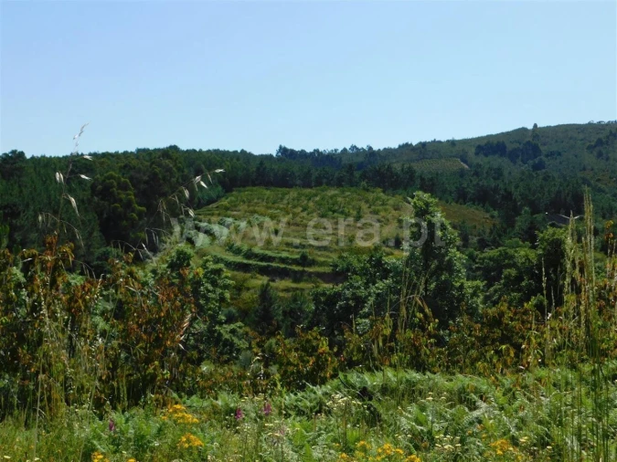 Quinta T0 para Venda em Souto da Casa Foto 1