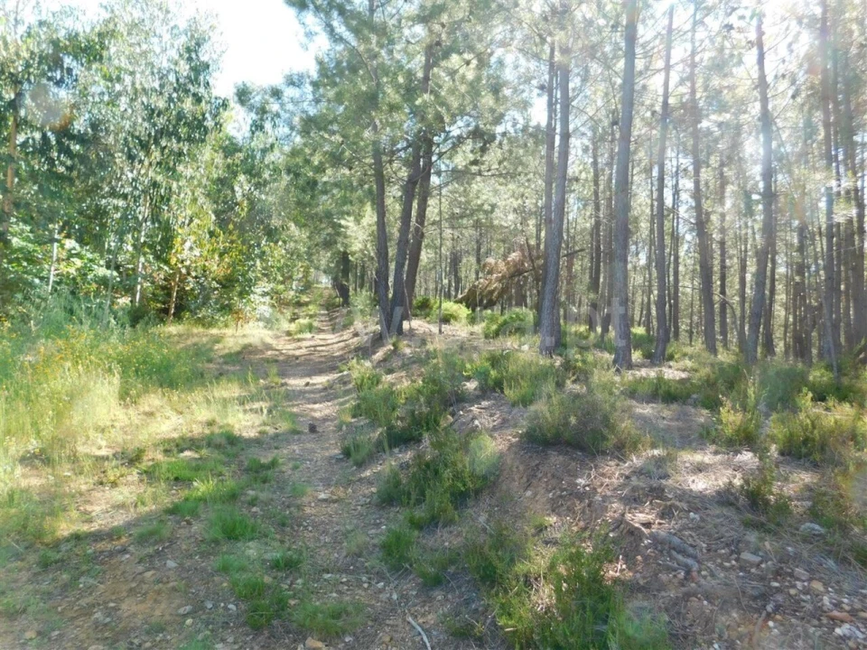 Quinta T0 para Venda em Souto da Casa Foto 3