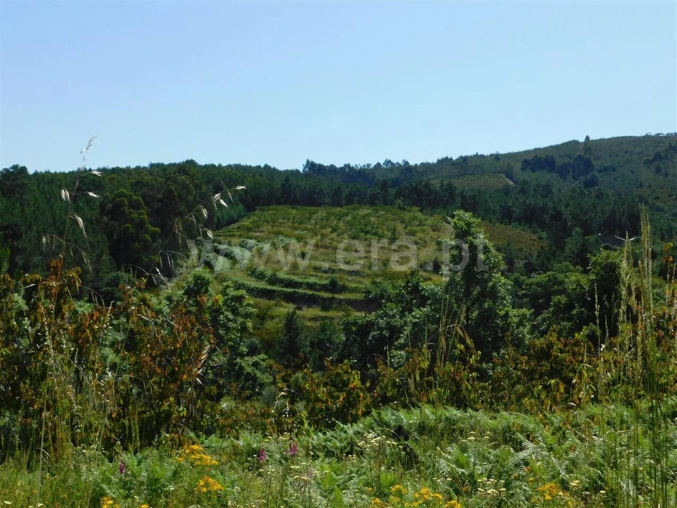 Quinta T0 para Venda em Souto da Casa Foto 1