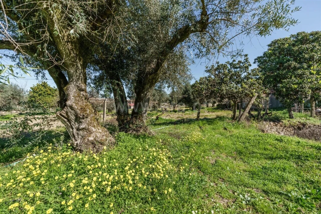 Terreno para Venda em Orca Foto 11