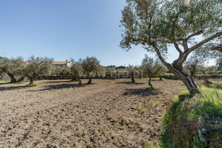 Terreno para Venda em Orca Foto 18