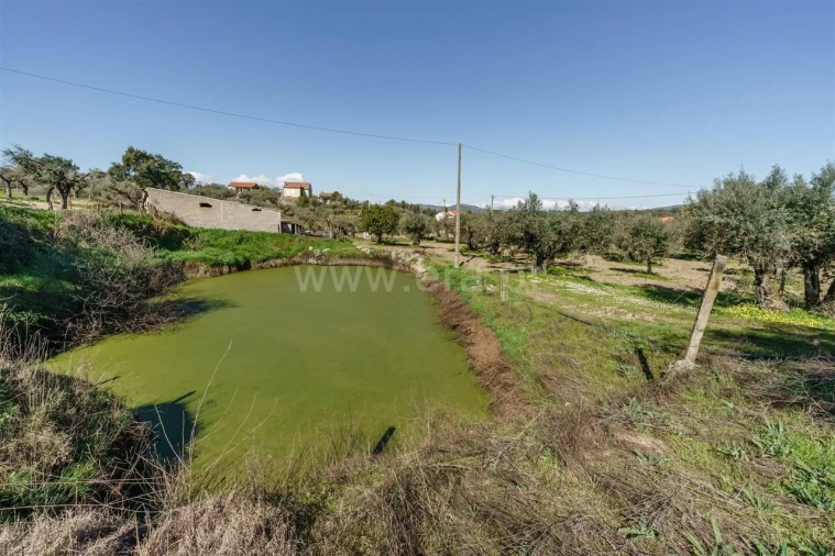Terreno para Venda em Orca Foto 16