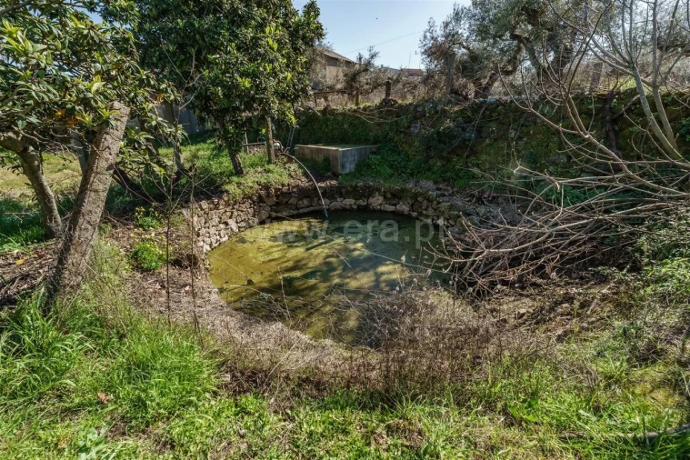 Terreno para Venda em Orca Foto 12