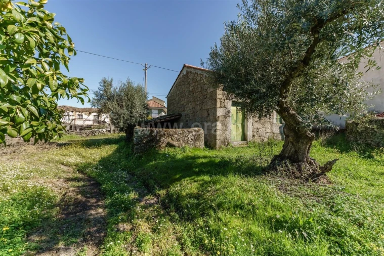 Terreno para Venda em Orca Foto 2