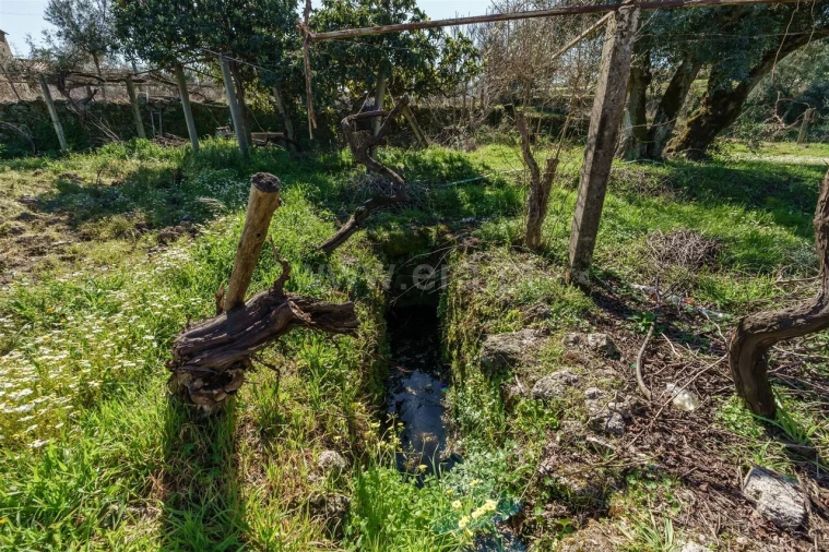 Terreno para Venda em Orca Foto 13