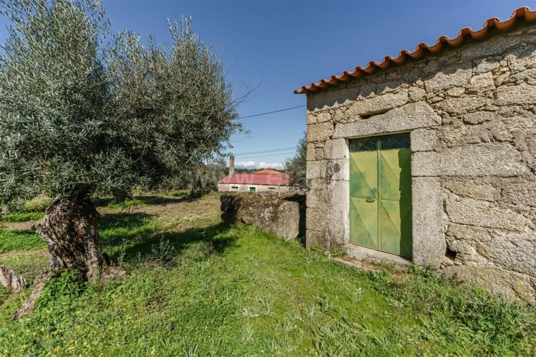 Terreno para Venda em Orca Foto 5