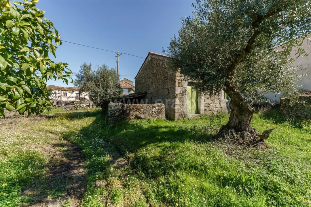 Terreno para Venda em Orca Foto 2