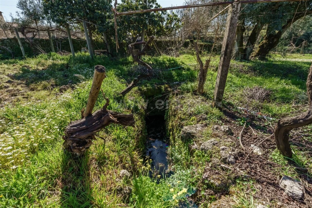 Terreno para Venda em Orca Foto 13