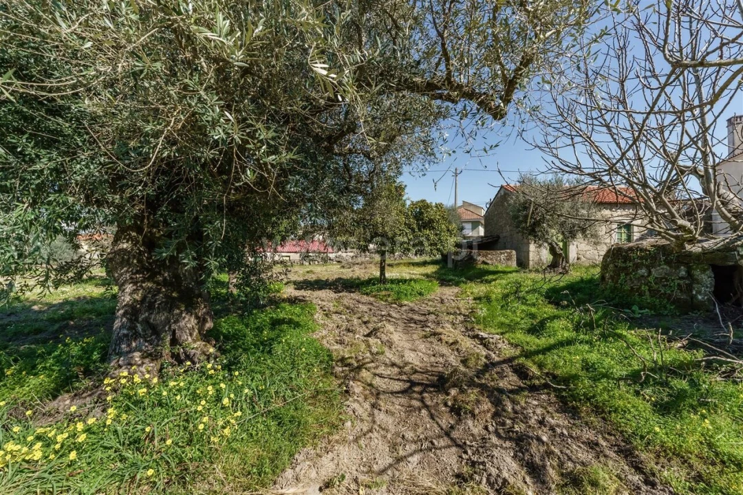 Terreno para Venda em Orca Foto 19