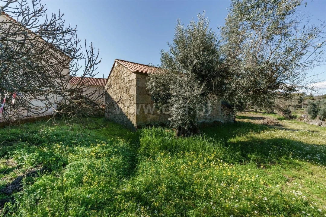 Terreno para Venda em Orca Foto 1