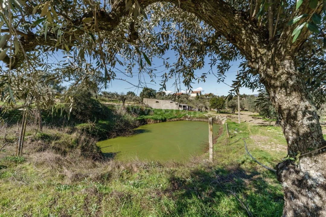 Terreno para Venda em Orca Foto 15