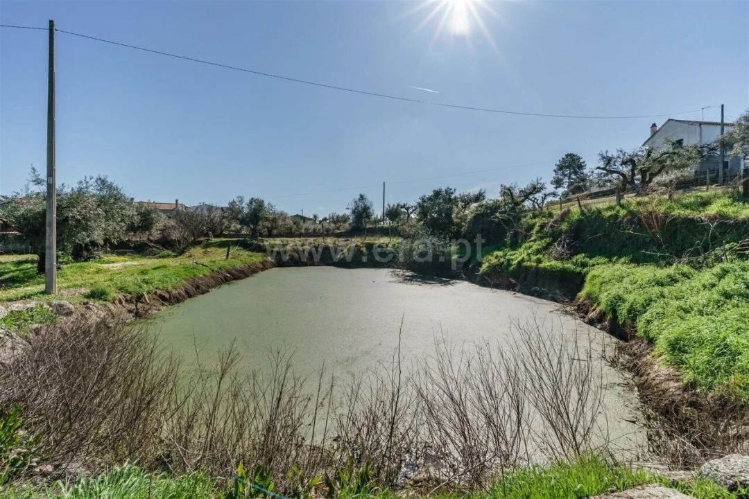 Terreno para Venda em Orca Foto 9