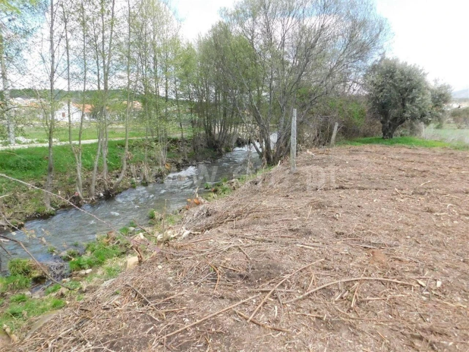 Quinta T3 para Venda em Castelejo Foto 3