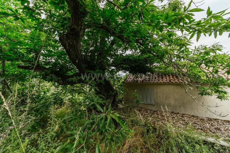 Quinta T3 para Venda em Castelejo Foto 11