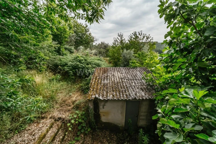 Quinta T3 para Venda em Castelejo Foto 7