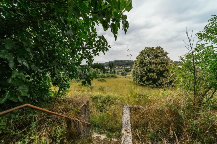 Quinta T3 para Venda em Castelejo Foto 5