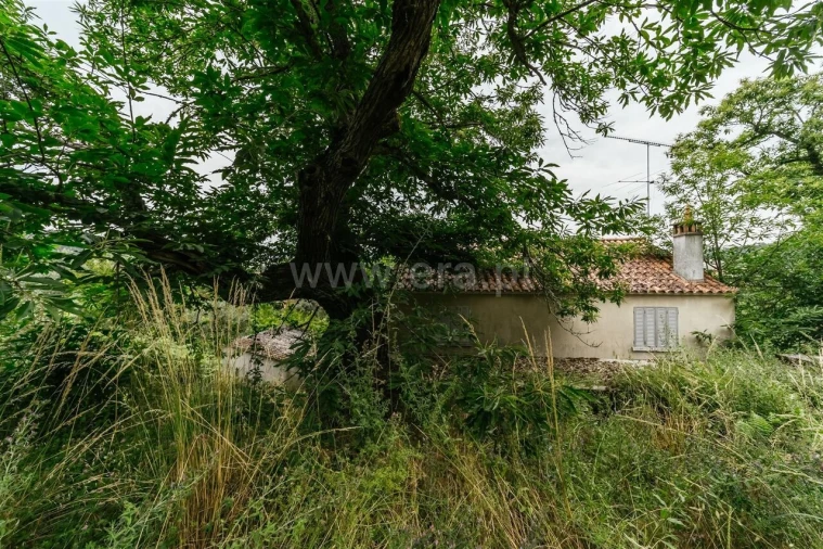 Quinta T3 para Venda em Castelejo Foto 4