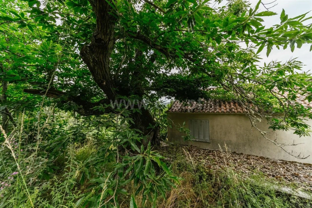 Quinta T3 para Venda em Castelejo Foto 11