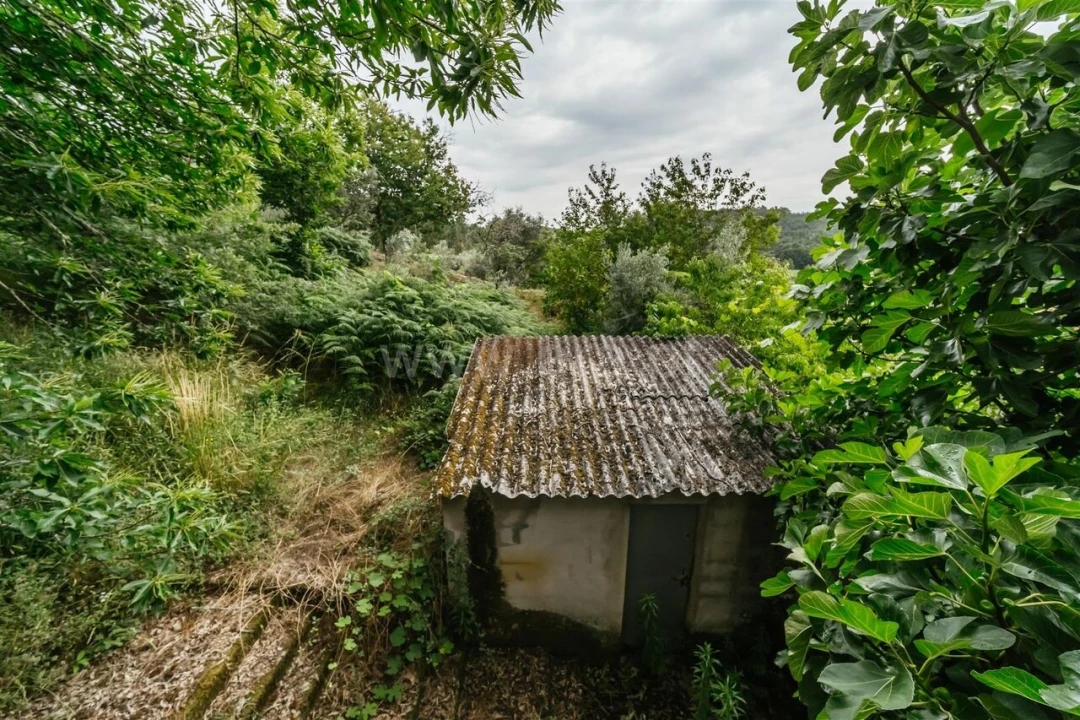 Quinta T3 para Venda em Castelejo Foto 7