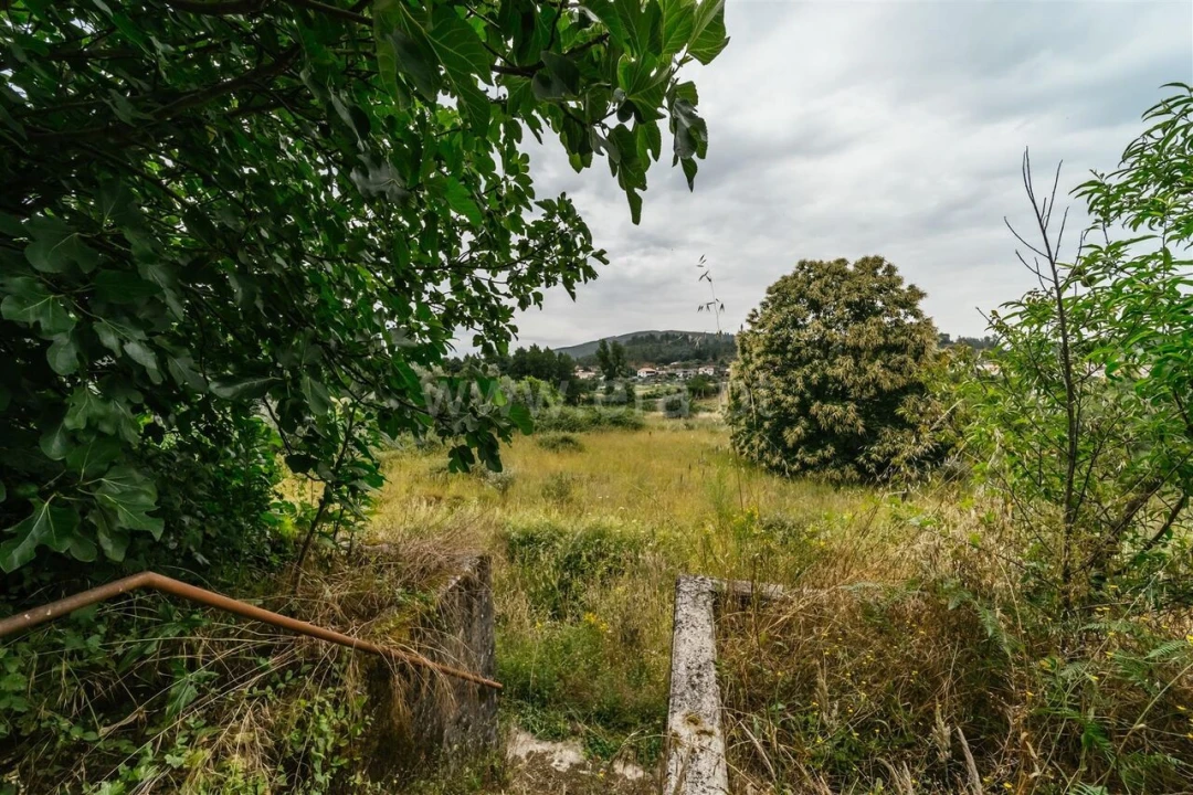 Quinta T3 para Venda em Castelejo Foto 5