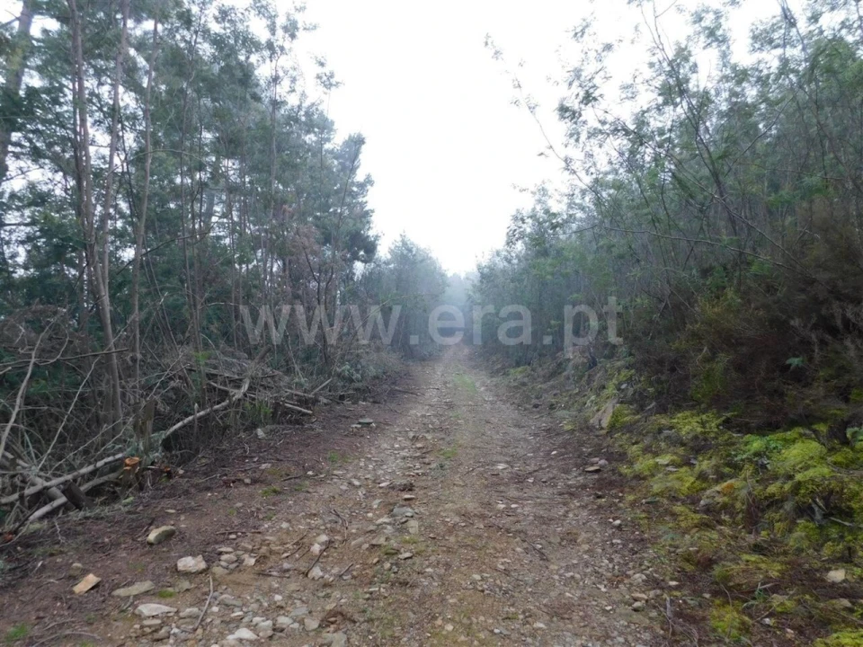 Terreno para Venda em Souto da Casa Foto 4