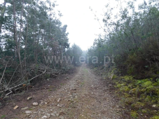 Terreno para Venda em Souto da Casa Foto 4