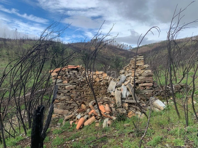Terreno para Venda em Lavacolhos Foto 2