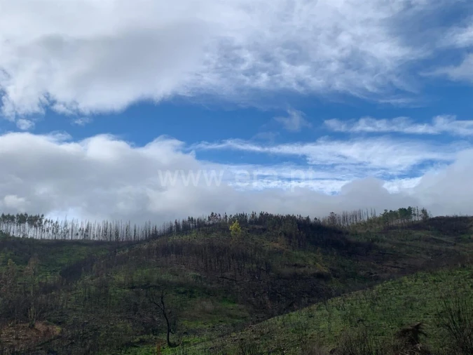 Terreno para Venda em Lavacolhos Foto 13