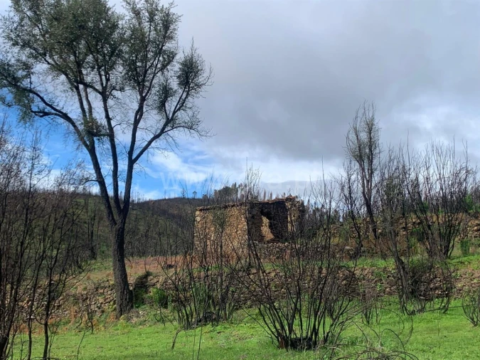 Terreno para Venda em Lavacolhos Foto 4
