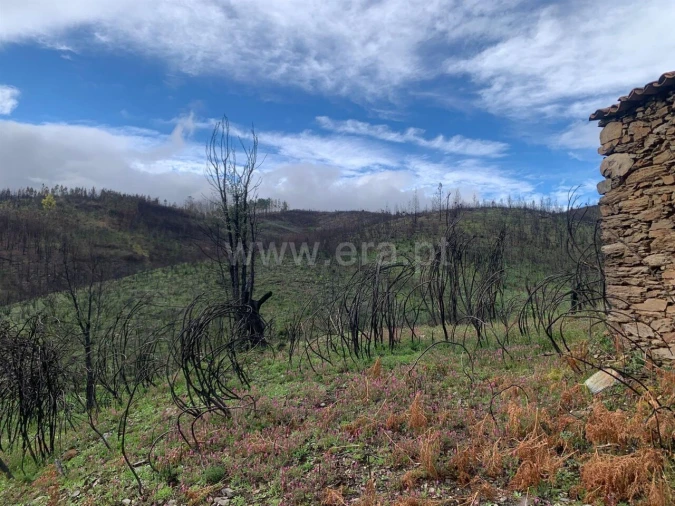 Terreno para Venda em Lavacolhos Foto 6