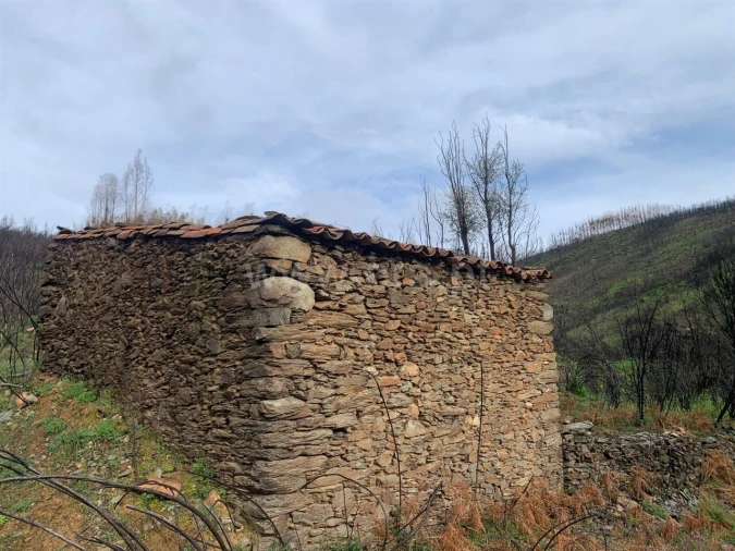 Terreno para Venda em Lavacolhos Foto 3