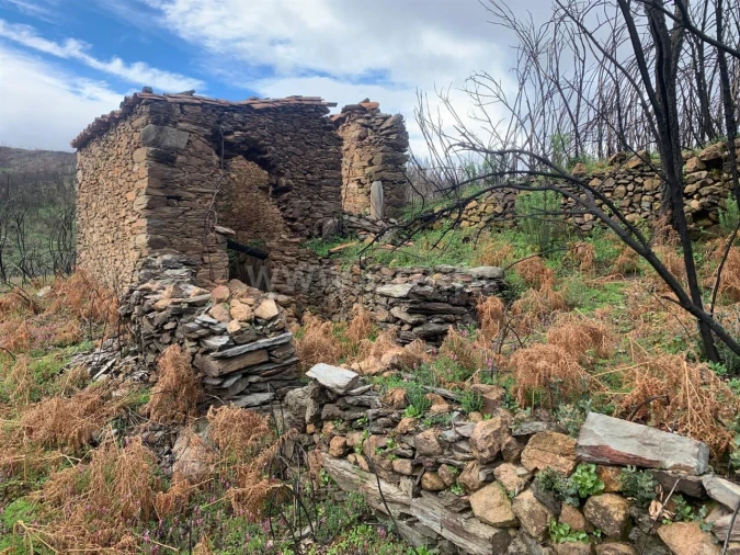 Terreno para Venda em Lavacolhos Foto 1