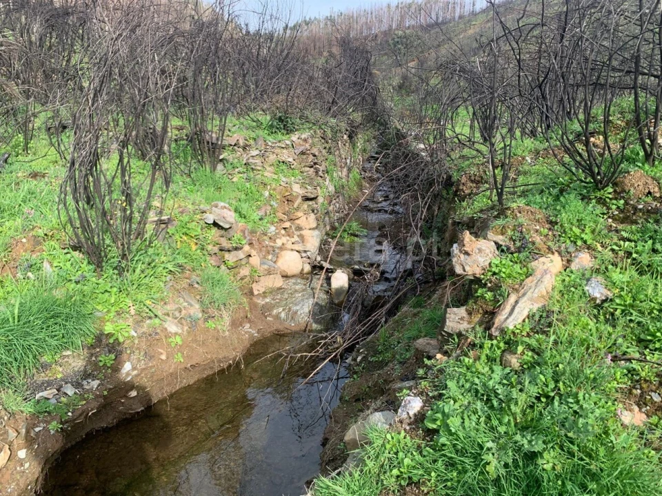 Terreno para Venda em Lavacolhos Foto 12