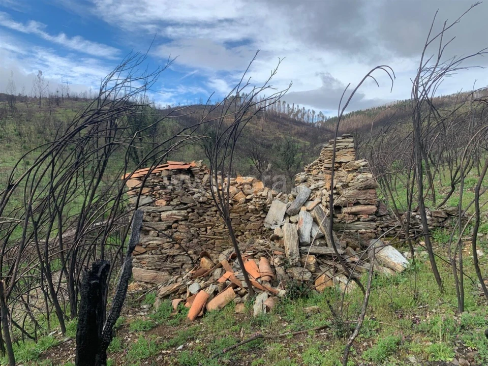 Terreno para Venda em Lavacolhos Foto 2