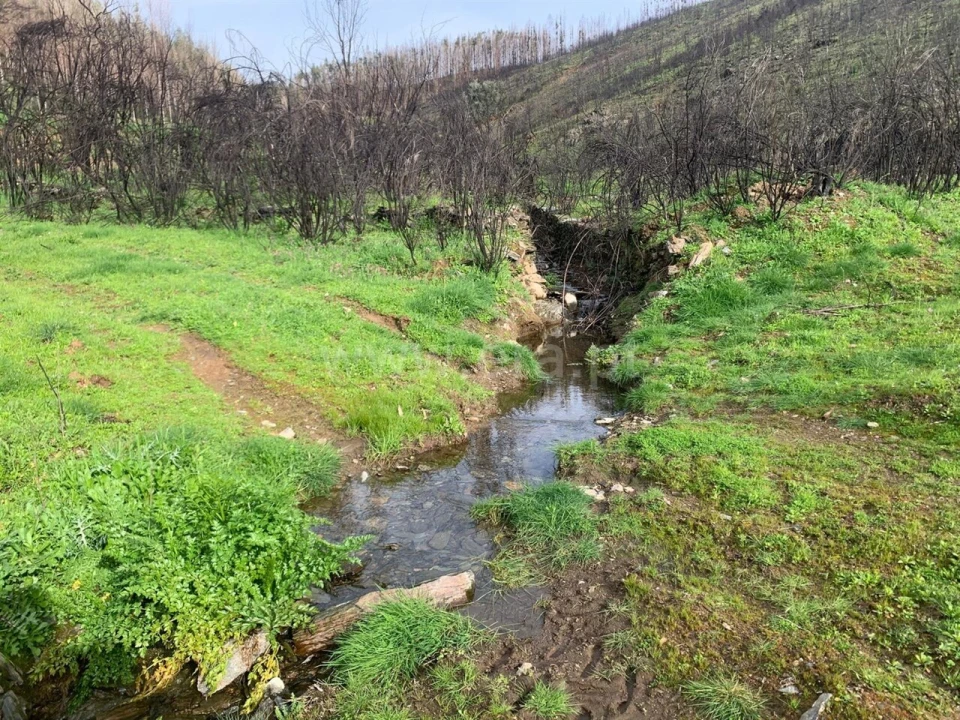 Terreno para Venda em Lavacolhos Foto 11
