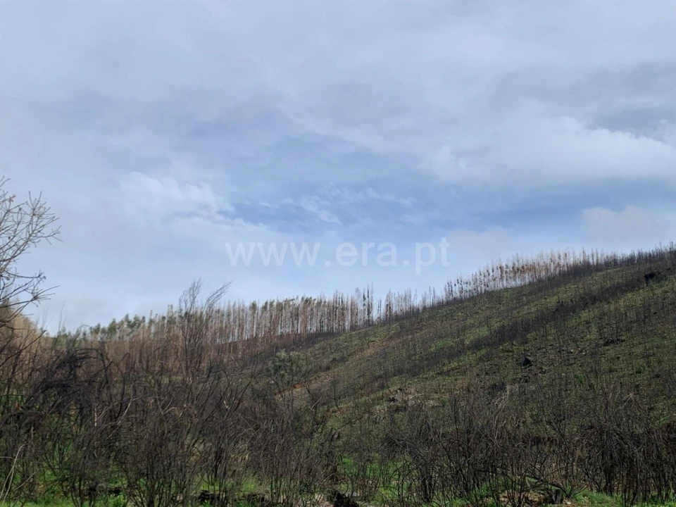 Terreno para Venda em Lavacolhos Foto 8