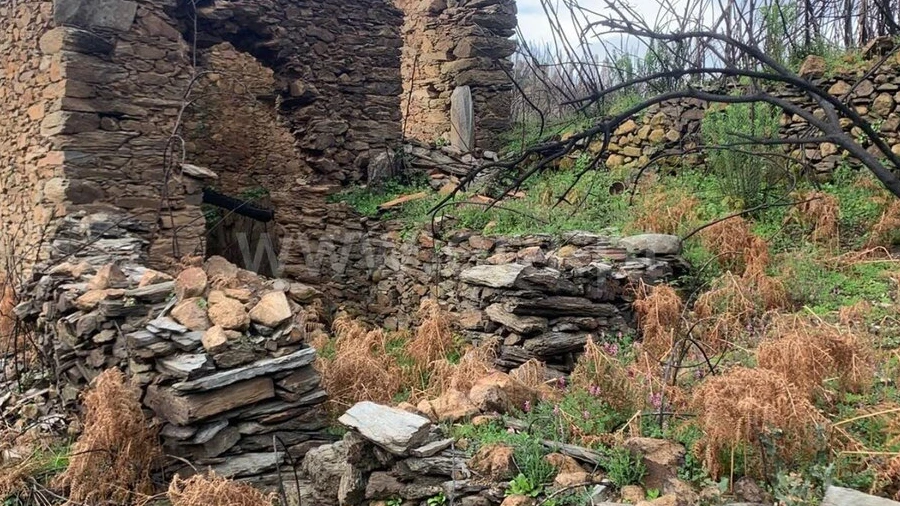 Terreno para Venda em Lavacolhos