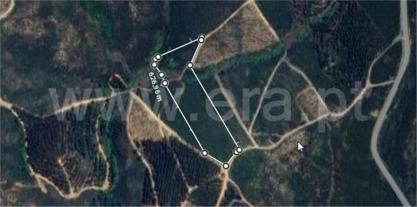 Terreno para Venda em Lavacolhos Foto 14