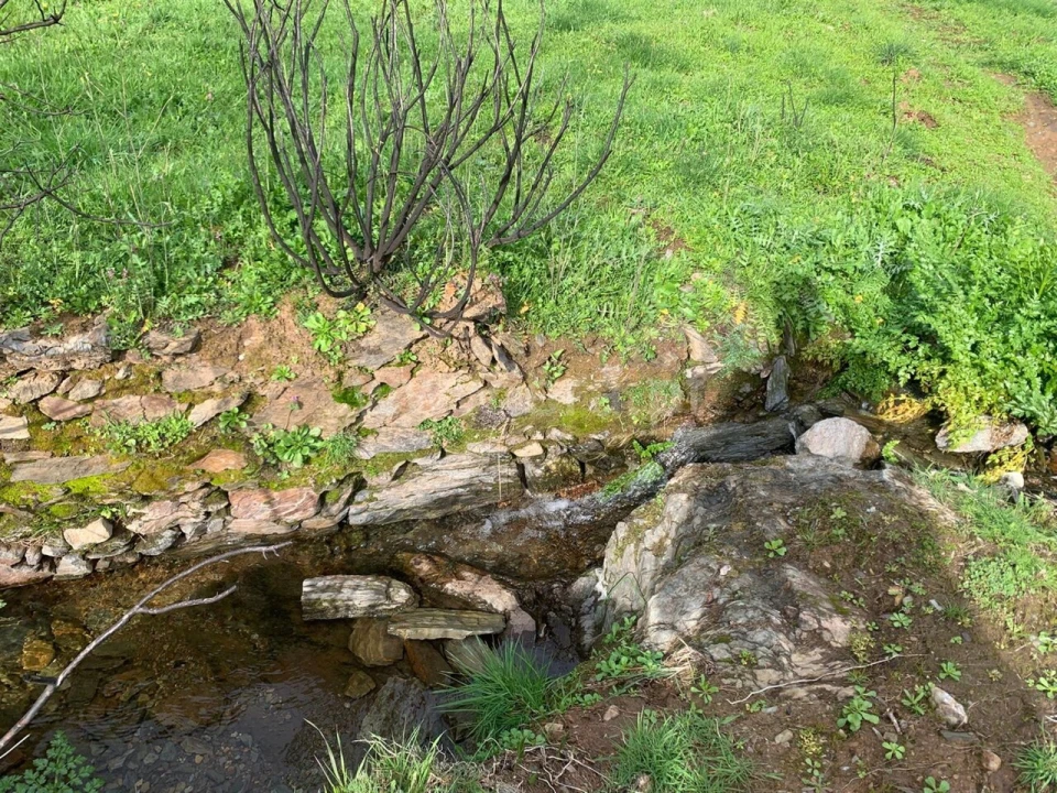 Terreno para Venda em Lavacolhos Foto 10