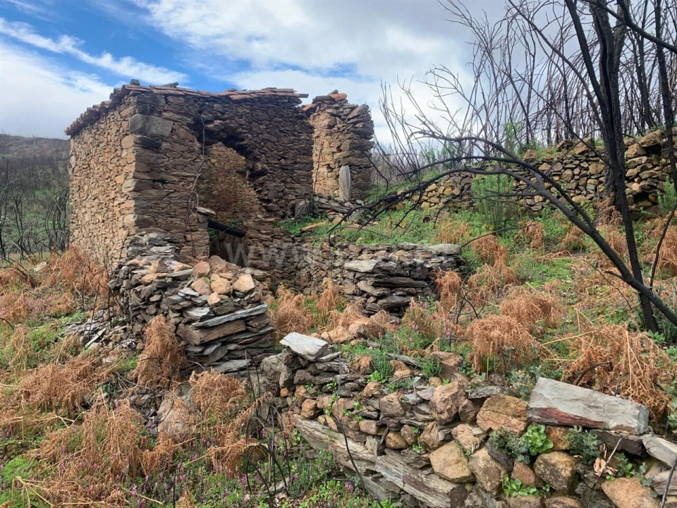 Terreno para Venda em Lavacolhos Foto 1