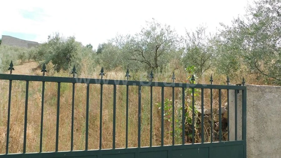 Terreno para Venda em Três Povos